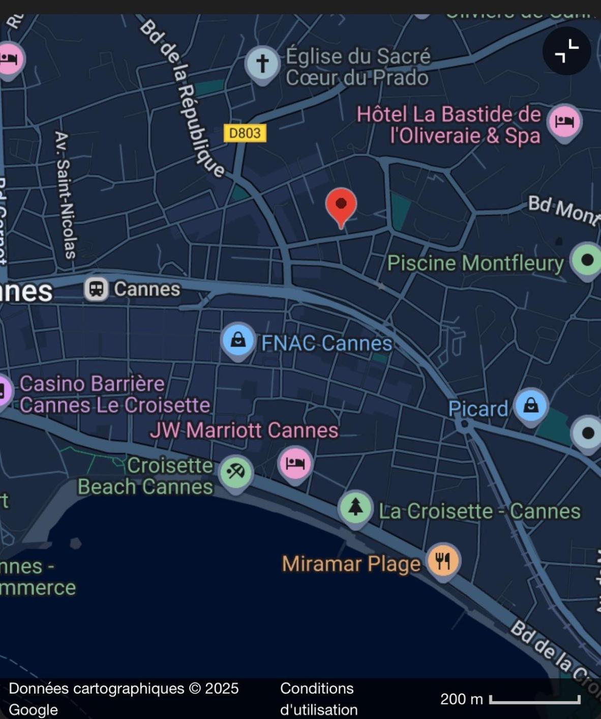 Le Petit Carlthon Appart Cannes Exterior photo